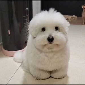 Meet your Posher, Khyrene